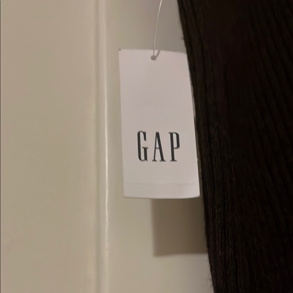 GAP Rich Chocolate SKirt